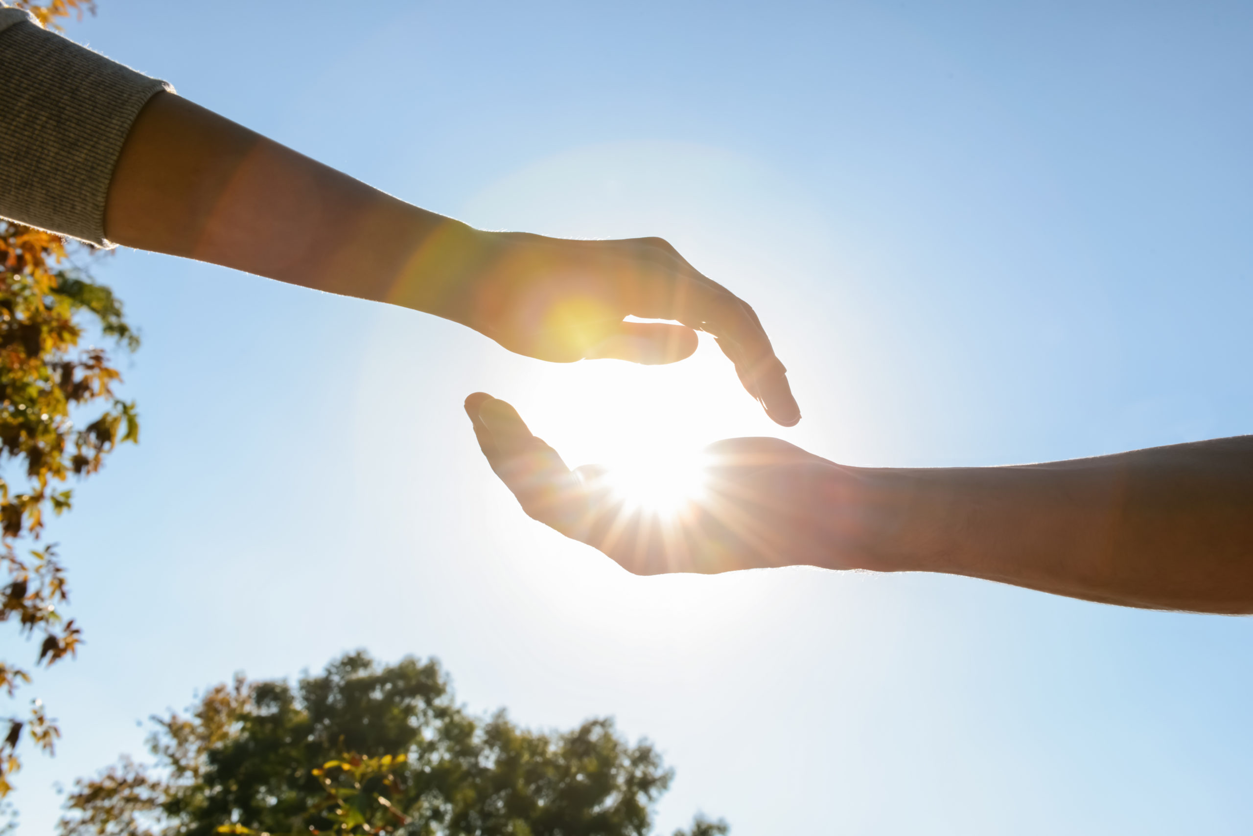 Le gouvernement préconise que chaque citoyen britannique reçoive de la vitamine D